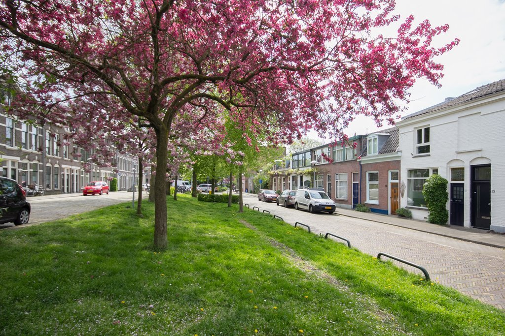 Makelaar Tuinwijk