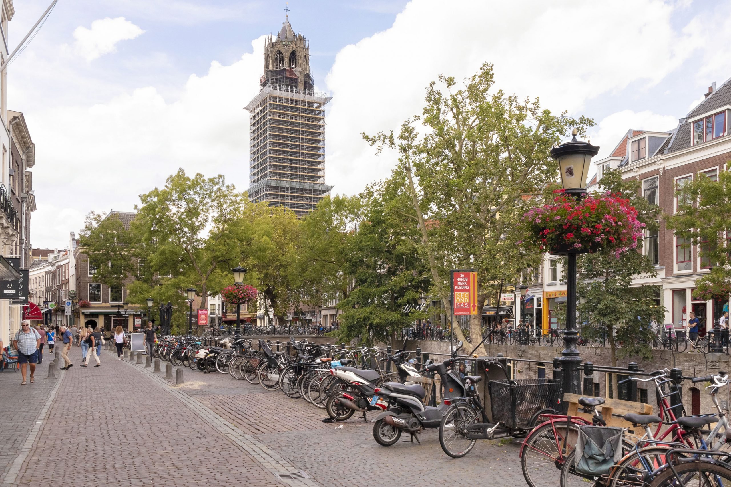 Pijlsweerd