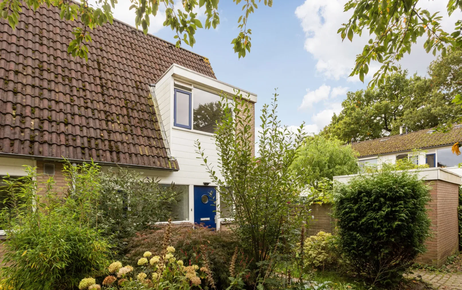 appartementen te huur op Steven de Witplein 13