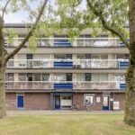 Wiekslag 219