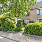                         Peter van Anrooystraat 24
                    