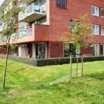 Dwergbloemsingel 6