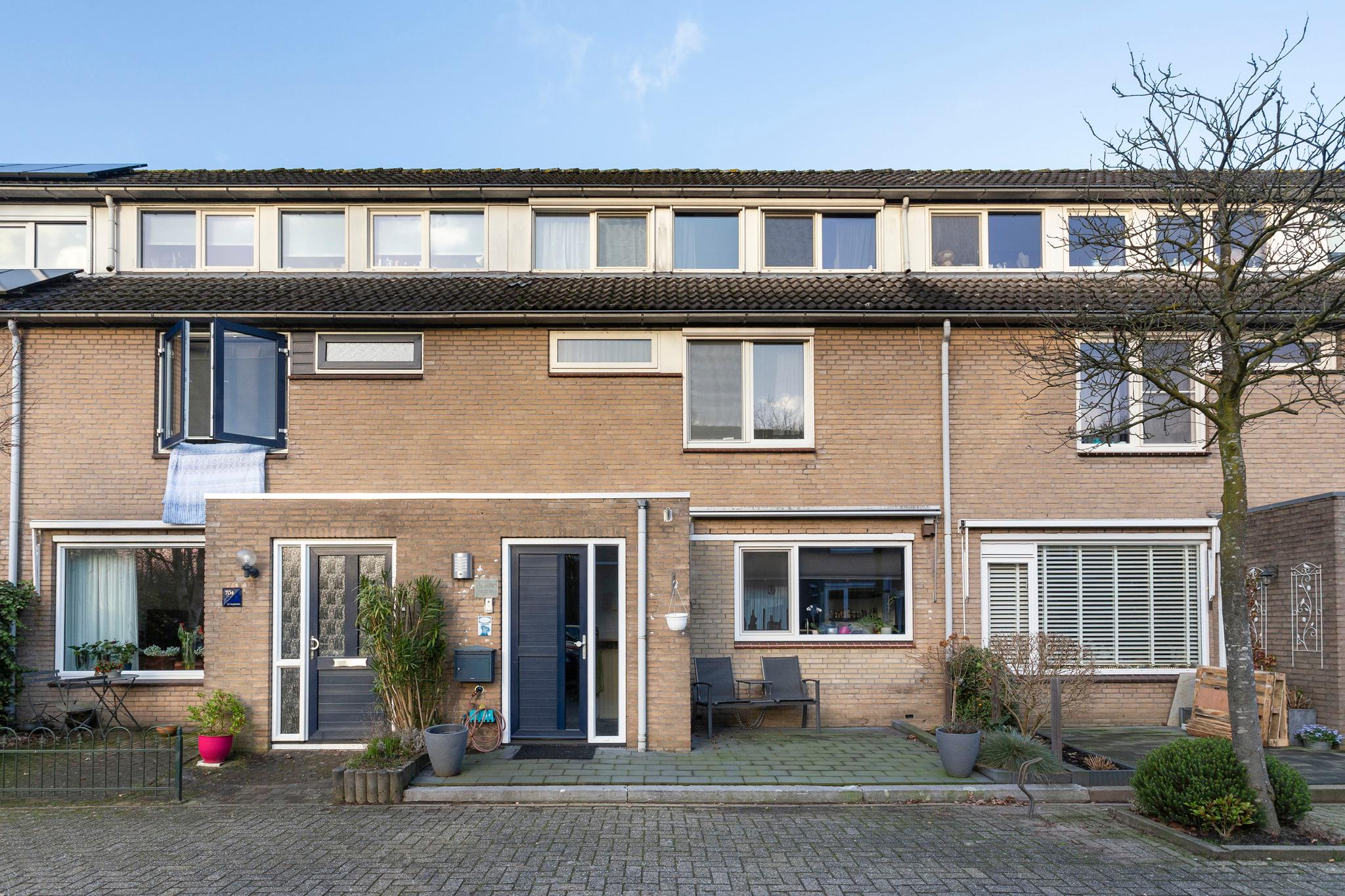 Boomstede 705