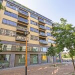 Grauwaartsingel 486