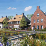 10-05-viola-en-karina-type-dc