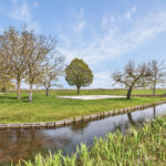 Ter Aase Zuwe 5, Vinkeveen_31