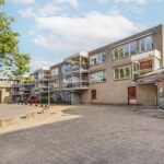                         Suze Groenewegstraat 46
                    